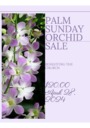 Orchid Sale Palm Sunday