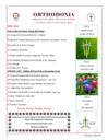 2025 APRIL BULLETIN